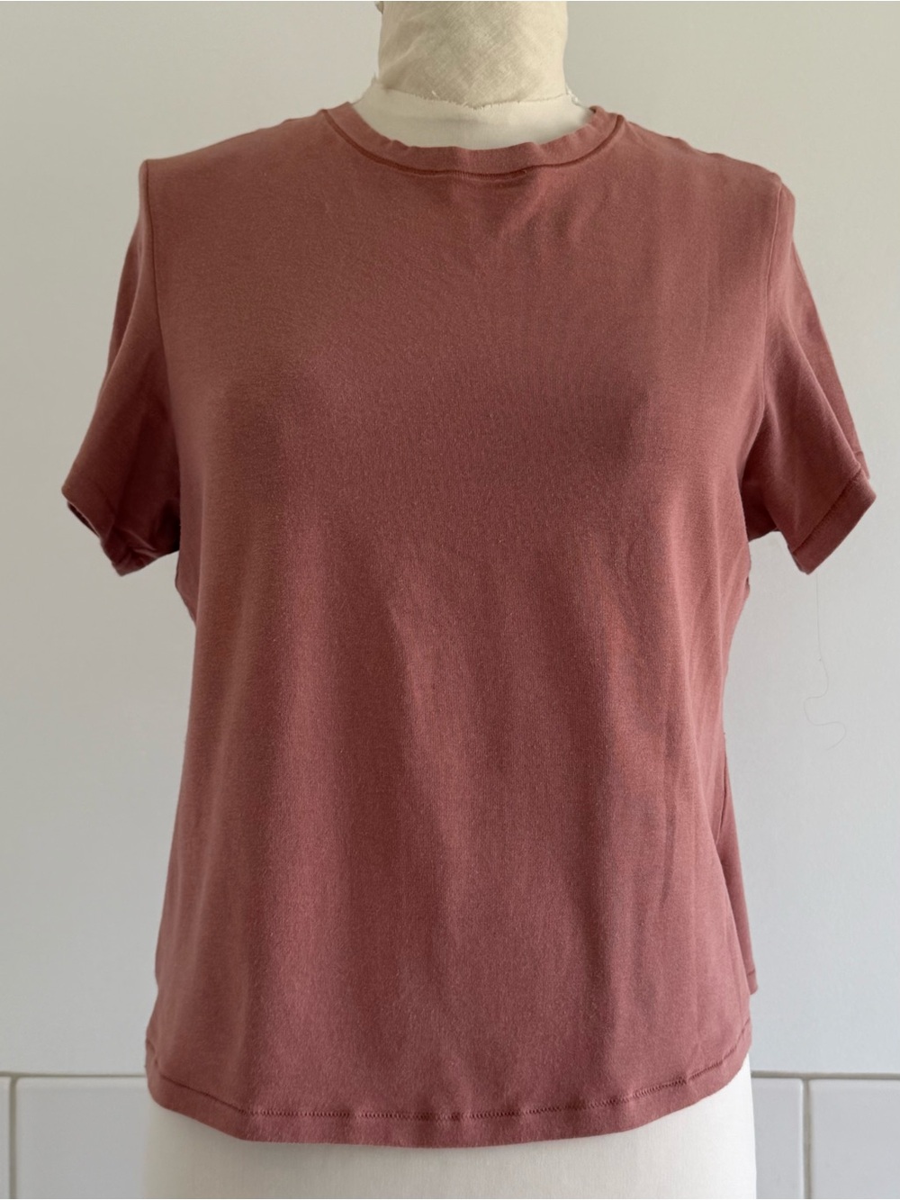 SKIMS Short Sleeve Crewneck Tee in Dusty Rose XL